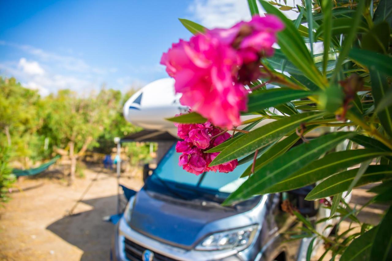 Village & Camping La Foce فاليدوريا المظهر الخارجي الصورة